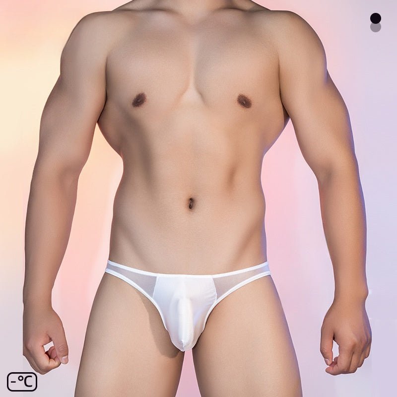 See - through Thin Transparent Silky Men's Low Waist Briefs - E. M. E. LLC0